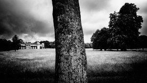Posiadłość Goodwood w West Sussex, Wielka Brytania, 2020 r. (zdjęcie)
