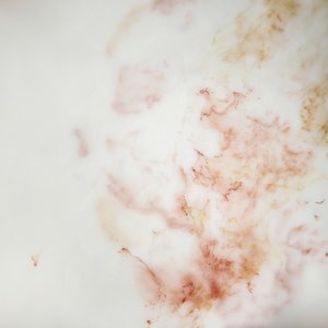 Organiczny wzór marmurowy