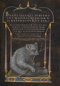Leniwiec autorstwa Joris Hoefnagel