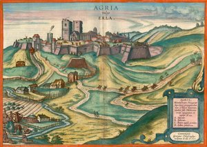 Agria aka Erla autorstwa Joris Hoefnagel