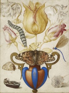 Układ kwiatów w wazonie z owadami, 1594 (Akwarela ze złotem na welinie) autorstwa Joris Hoefnagel
