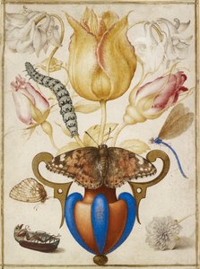 Układ kwiatów w wazonie z owadami, 1594 autorstwa Joris Hoefnagel