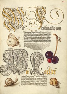 Motyl, czereśnia i ślimaki lądowe autorstwa Joris Hoefnagel