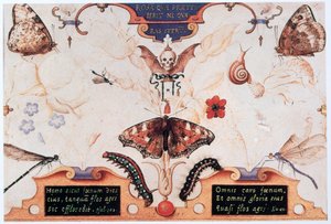 Dyptyk z kwiatami i owadami, 1591. autorstwa Joris Hoefnagel