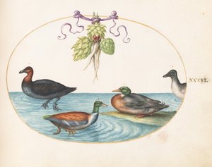  autorstwa Joris Hoefnagel