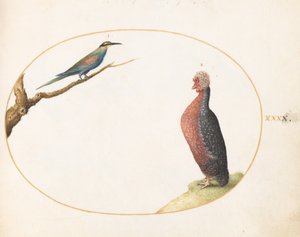  autorstwa Joris Hoefnagel