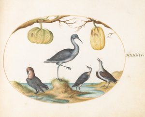  autorstwa Joris Hoefnagel