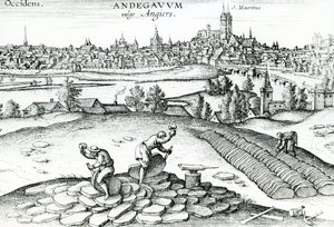 Kamieniołom łupków w Angers, 1561 autorstwa Joris Hoefnagel