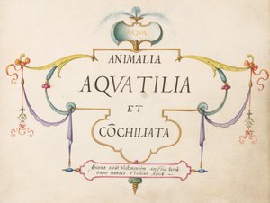 Strona tytułowa autorstwa Joris Hoefnagel