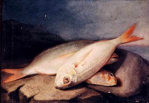 hiszpański: Bodegón de peces autorstwa José Arias Ramírez