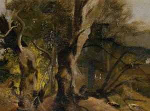 Waldstudium autorstwa Josef Navrátil