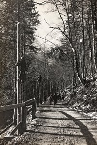 Album "Moja wojna światowa - wspomnienia Frontu Południowo-Zachodniego w Karyntii, Włochy, Trentino-Alto Adige) 31.03.1915-12.11.1918 - Josef Zohles Wiedeń": żołnierze do pracy (b/w foto