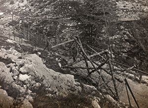 Album "Moja wojna światowa - wspomnienia Frontu Południowo-Zachodniego w Karyntii, Włochy, Trentino-Alto Adige) 31.03.1915-12.11.1918 - Josef Zohles Vienna": drut kolczasty (zdjęcie czarno-białe) autorstwa Josef Zohles