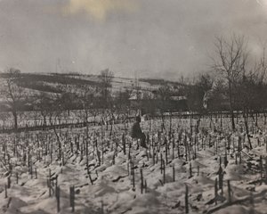 Album "Moja wojna światowa - wspomnienia Frontu Południowo-Zachodniego w Karyntii, Włochy, Trentino-Alto Adige) 31.03.1915-12.11.1918 - Josef Zohles Vienna": Cmentarz wojskowy (b/w fot. autorstwa Josef Zohles