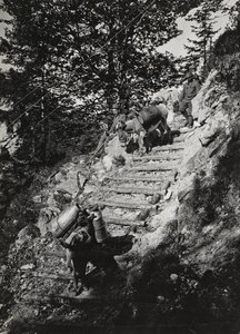 Album "Moja wojna światowa - wspomnienia Frontu Południowo-Zachodniego w Karyntii, Włochy, Trentino-Górna Adyga) 31.03.1915-12.11.1918 - Josef Zohles Wien": Muły wojskowe wzdłuż stromej autorstwa Josef Zohles