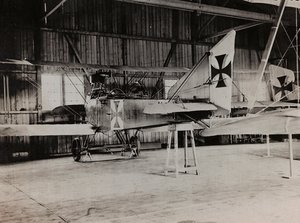 Album "Moja wojna światowa - wspomnienia Frontu Południowo-Zachodniego w Karyntii, Włochy, Trentino-Alto Adige) 31.03.1915-12.11.1918 - Josef Zohles Vienna": Austrian Airlines (b/w photo) autorstwa Josef Zohles