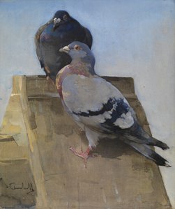 Gołębie na dachu (gwasz na płótnie) autorstwa Joseph Crawhall