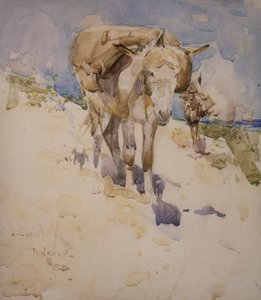 Tanger (wc na papierze) autorstwa Joseph Crawhall