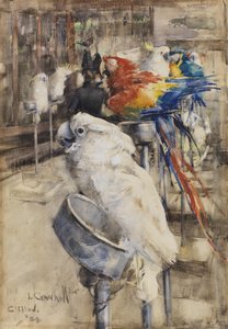 Ptaszarnia, Clifton autorstwa Joseph Crawhall