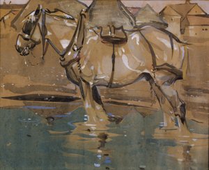 Basen do picia (wc i gwasz na papierze) autorstwa Joseph Crawhall