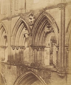 Opactwo Rievaulx. Łuki Triforium, 1850