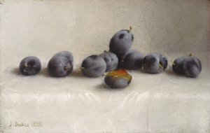 Dwanaście śliwek, 1896