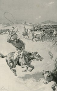 Zbieranie bydła w Queensland autorstwa Joseph Finnemore