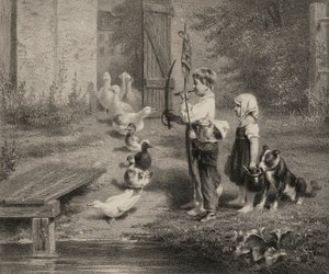 Przegląd oddziałów