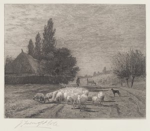 Wiejska ulica we Francji ze stadem owiec
