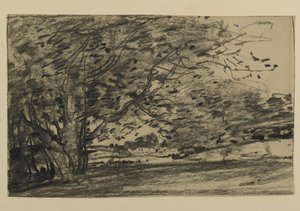 Studium Drzew, 1870 (grafit na papierze)