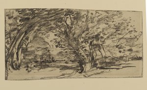 Studium Drzew, 1870 (grafit na papierze)