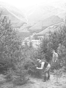 Dwóch mężczyzn ścinających choinkę siekierą z Thirlmere za plecami autorstwa Joseph Hardman
