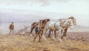 Orka w dół (akwarela na papierze)