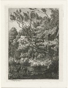 leśny widok autorstwa Joseph Hartogensis