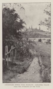 Churchyard Bottom Wood, Highgate, Alexandra Palace z obrzeży lasu autorstwa Joseph Holland Tringham