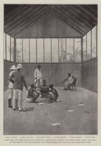 Wyprawa Benin autorstwa Joseph Holland Tringham