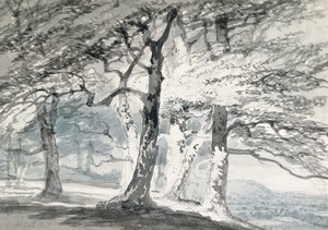 Norbury Park, Surrey (ołówek i akwarela na papierze) autorstwa Joseph Mallord William (attr.to) Turner