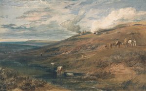 Dartmoor: źródło Tamaru i Torridge autorstwa Joseph Mallord William Turner