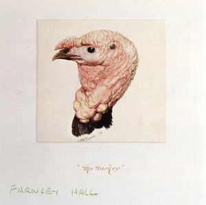 Turcja (akwarela na papierze) autorstwa Joseph Mallord William Turner