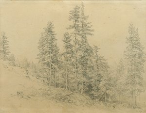 Cenny ząb autorstwa Joseph Martin Höger