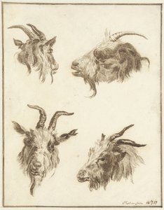 Cztery badania głów kóz autorstwa Joseph Mendes da Costa