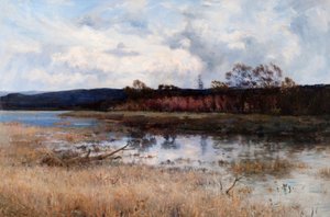 Tay Backwater, Kinfauns, Perthshire