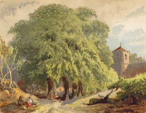 Scena wiejska, limonki (kolorowa litografia)