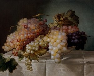 Martwa natura z winogronami w porcelanowym naczyniu autorstwa Joseph Nigg
