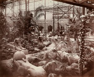 The Crystal Palace w Londynie: sekcja tropikalna, ok. 1870 (zdjęcie czarno-białe)