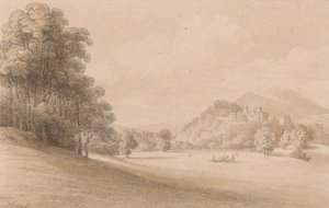 Zamek Dunster, Somerset: Pokazuje zamek w oddali