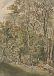 W Parku Rydalskim