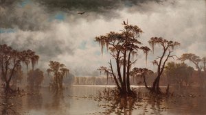 Scena Bayou