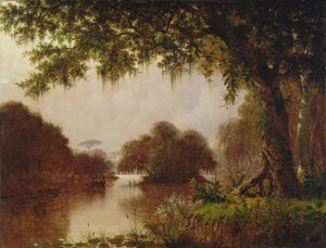 Bagno na Missisipi, 1871
