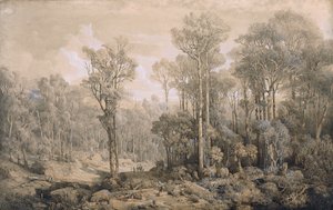 Australijski las